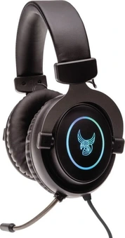 L33T-Gaming Gjermundbu